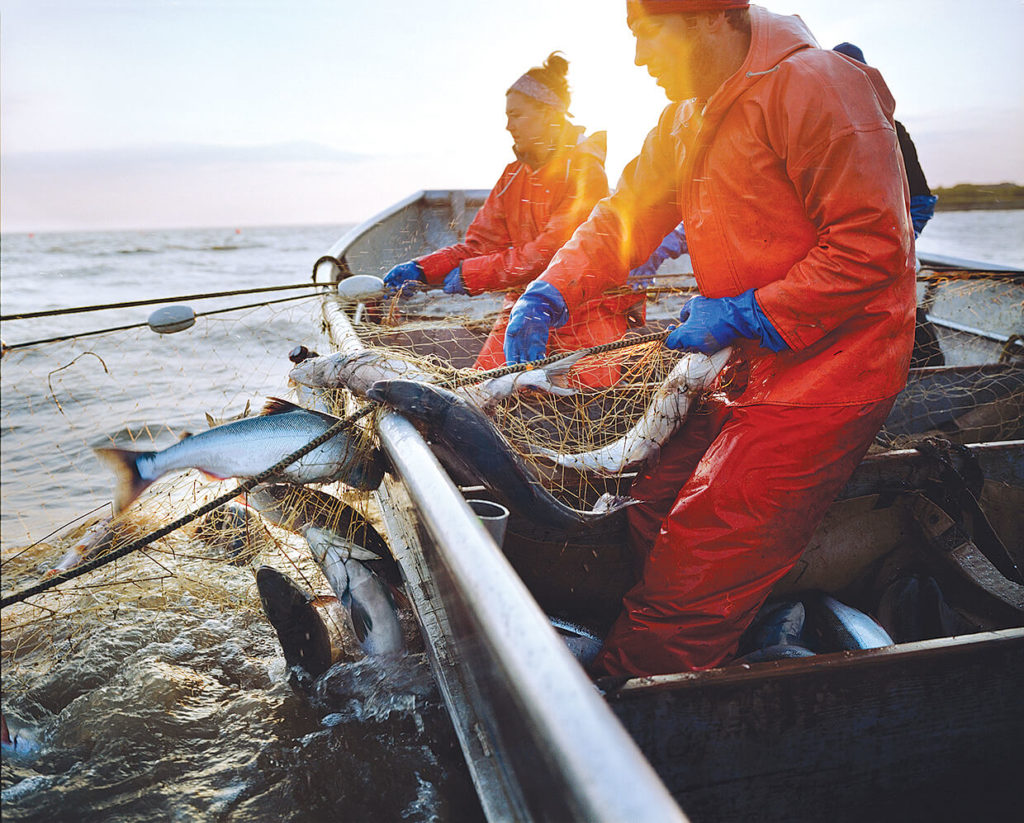Cómo Cocinar Pescado Congelado - Alaska Seafood