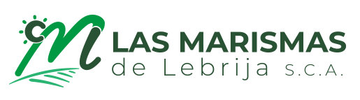 logo-arismas