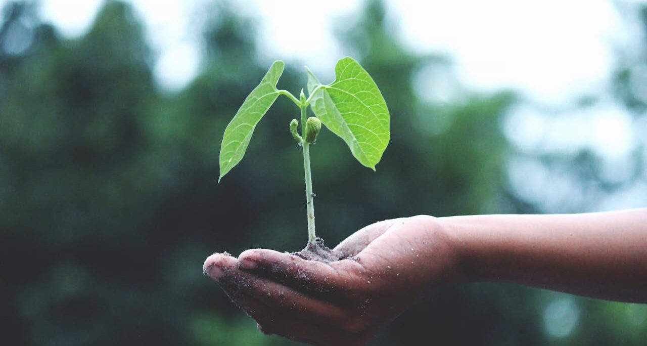Veolia | Día Mundial de la Tierra 2026