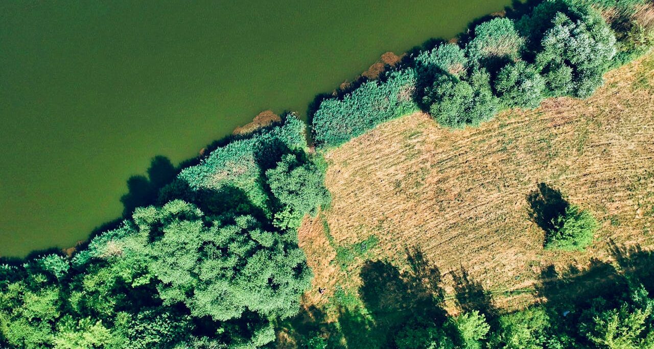 Veolia | DMMA 2026 La Tierra envía señales, ¿las estamos escuchando?