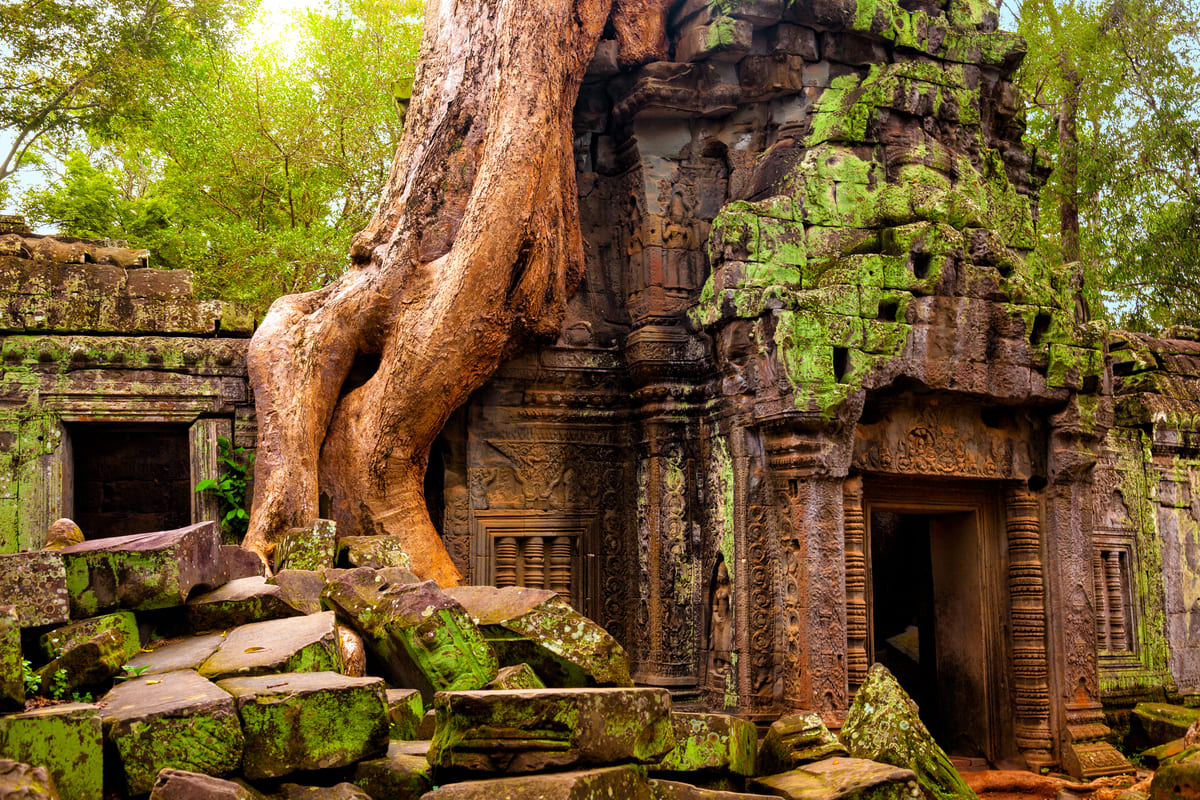 veci camboya