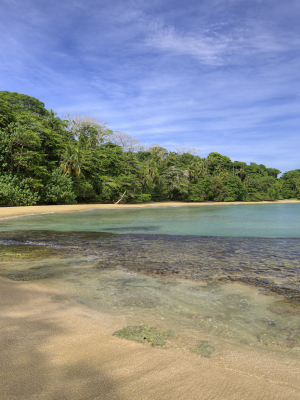 CARIBE SUR_LIMON_PUERTO VIEJO_PLAYA CHIQUITA_7167x4786 px