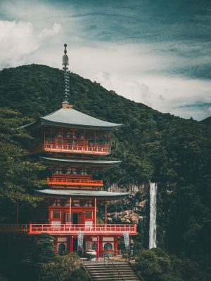 veci japón