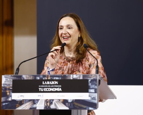 Isabel Goyena, directora general de ANAIP
