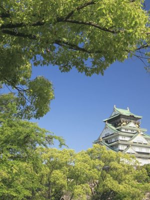 Japon 2