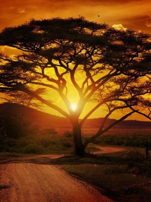 TANZANIA