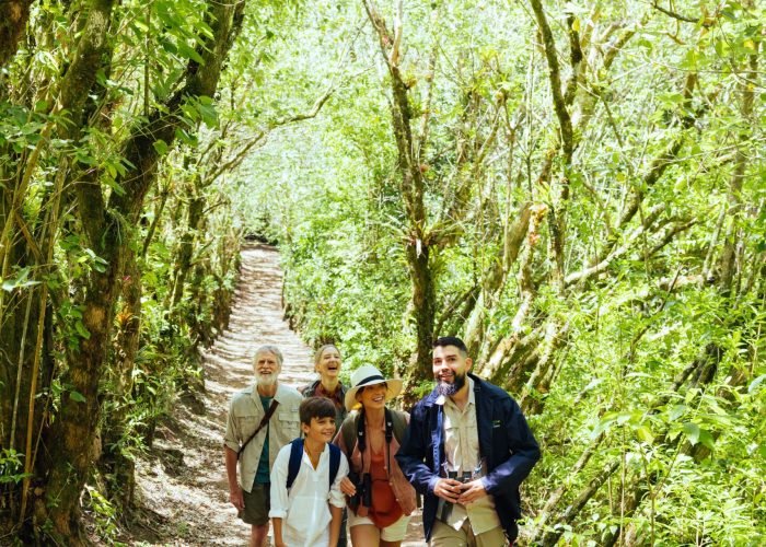 family-bird-watching-curi-cancha-reserve-monteverde