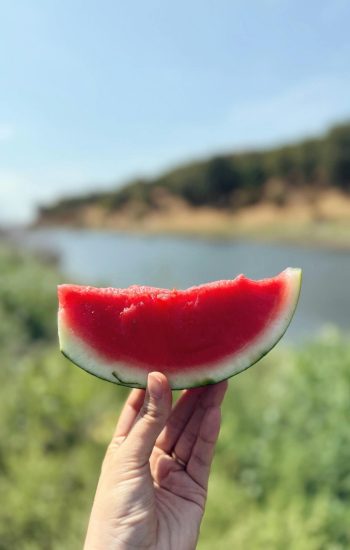 sandia recurso consum