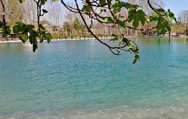 Turisme CV playamonte (4)